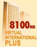 Virtual International Plus