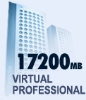 Virtual Professional